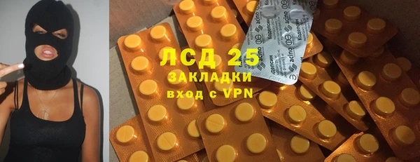 индика Бородино