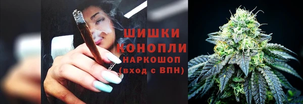 PSILOCYBIN Богородицк