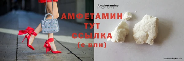 индика Бородино
