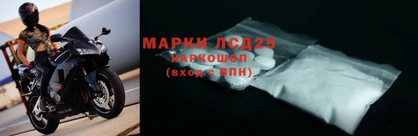 индика Бородино