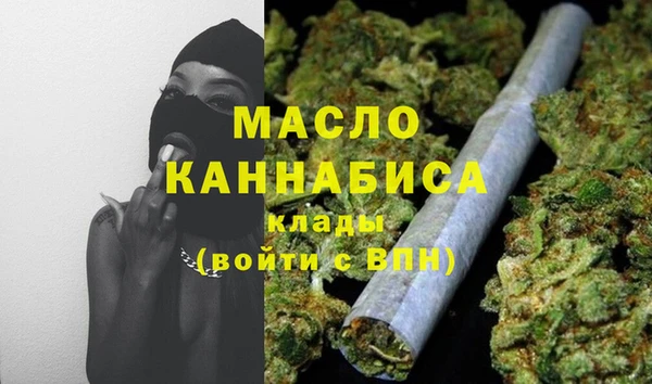 индика Бородино