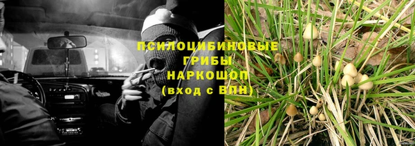 PSILOCYBIN Богородицк