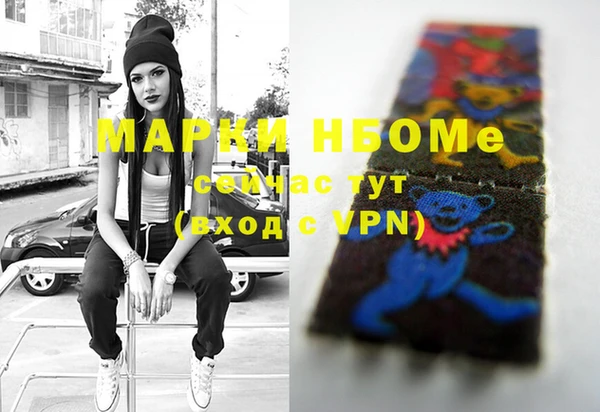 индика Бородино