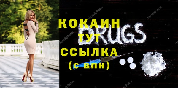 гашик Богородск