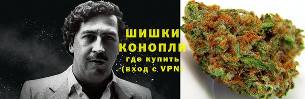 гашик Богородск