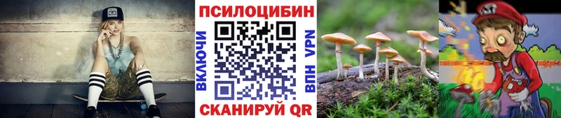 OMG ONION  Армавир  Галлюциногенные грибы Psilocybine cubensis 